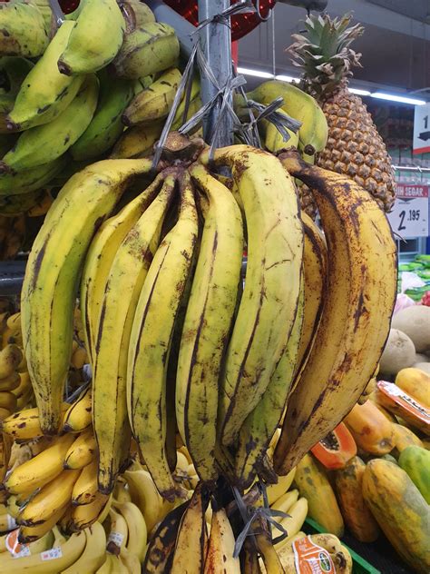 Pisang Tanduk Bananas Information and Facts