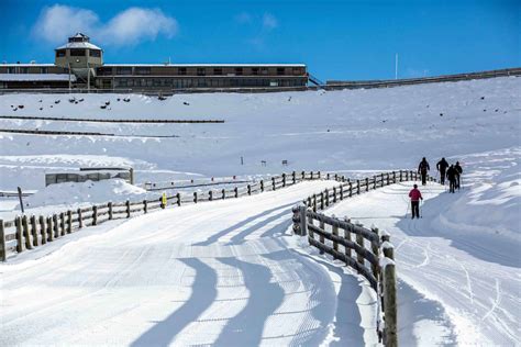 Snow Farm Ski Resort | New Zealand Ski Resorts | Mountainwatch