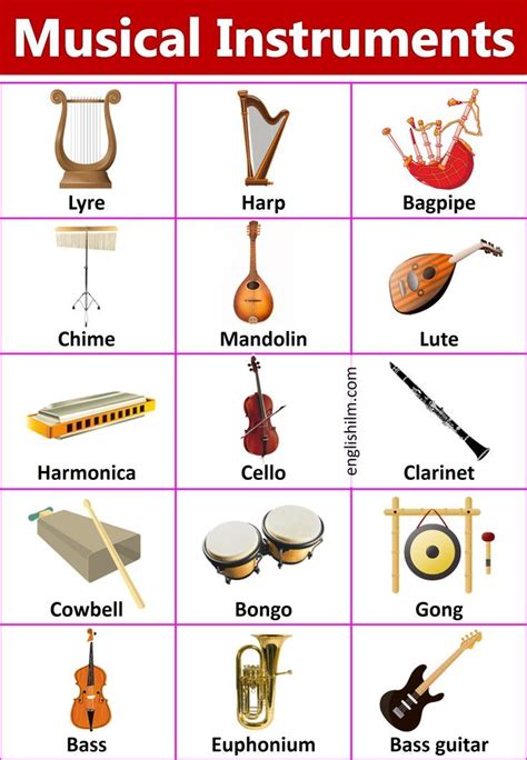 Names of The Musical Instruments with Images | English ilm | Musical ...