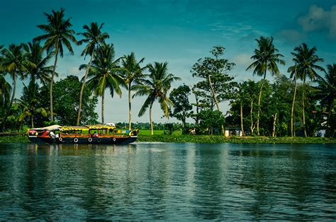 Bilder Indien Alappuzha Kerala Natur Binnenschiff Palmengewächse