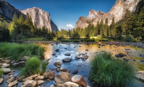 Yosemite National Park Bus Tour (Full Day) San Francisco Shore Trips