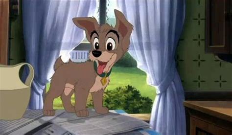 Scamp | Wiki | Lady And The Tramp Amino