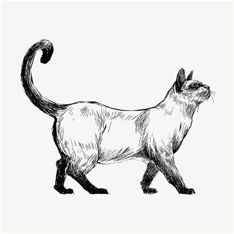 Siamese cat sketch animal illustration | Premium PSD - rawpixel