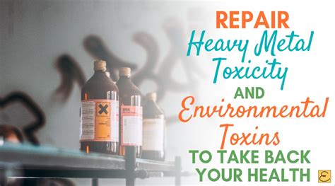 How You Can Repair Heavy Metal Toxicity and Reduce Toxin Exposure Naturally - Early to Bed ...