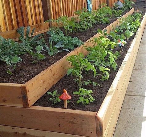 Raised Vegetable Garden Layout . Gardens Vegetable Layout#garden # ...