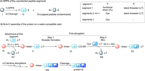 A simple and traceless solid phase method simplifies the assembly of large peptides and the ...