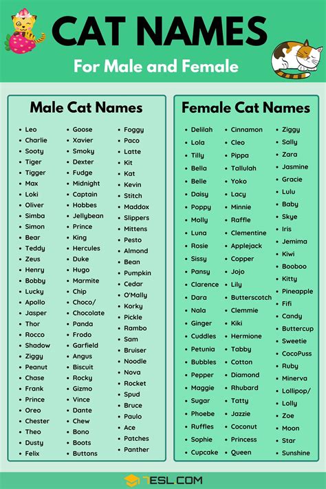 Cat Names: 70+ Most Popular Male and Female Cat Names • 7ESL