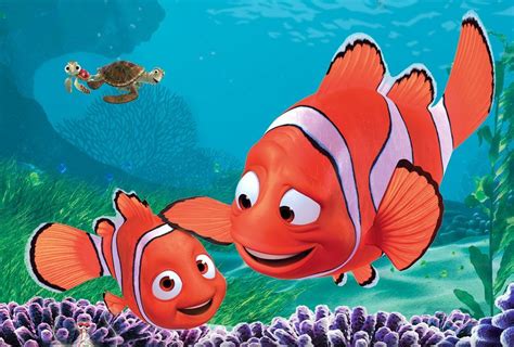 PROCURANDO NEMO - Tio Bill | Finding nemo, Disney facts, Nemo