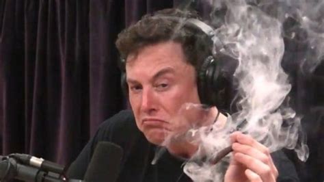 Petition · Elon musk : Get Elon musk to host meme review · Change.org