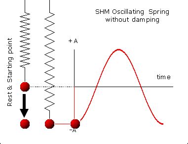 What are some examples of simple harmonic motion? | Socratic