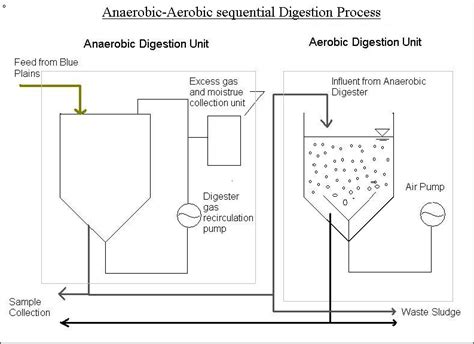 Typical digestion sequence and configuration of digesters used in the... | Download Scientific ...