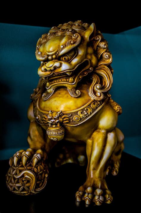 Shishi is the Chinese word for guardian lions which are statues believed to have mythical ...