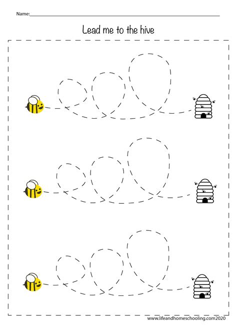 Fine Motor Skills Activity Worksheets | Made By Teachers