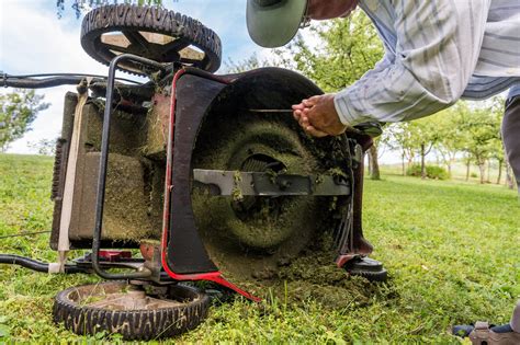 Spring Lawn Maintenance Musts to Prepare for the Year