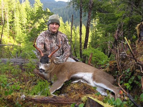 Alaska Sitka Blacktail Deer Hunt 10492