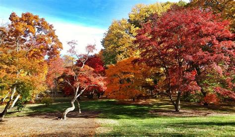 Harvard Arboretum in Boston, Massachusetts | Places to travel, Arboretum, In boston