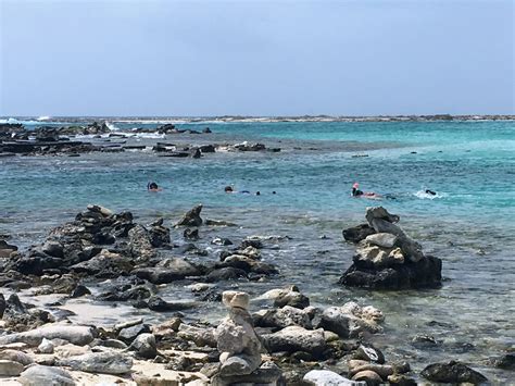 Aruba Snorkeling Guide: The Best Beaches to Visit - Little Blue Backpack