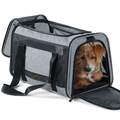 Petsfit Soft-Sided Pet Travel Carrier, Most Airline Approved