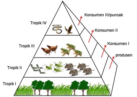 10 Jenis Biotik Hewan dan Tumbuhan serta Dampaknya pada Ekosistem