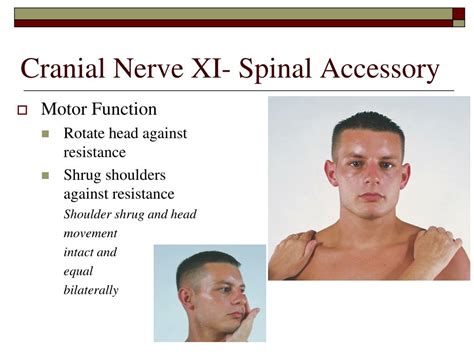 Cranial Nerve 11 Test