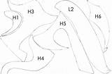 Leather Shoulder Armor Pattern Sketch Coloring Page sketch template
