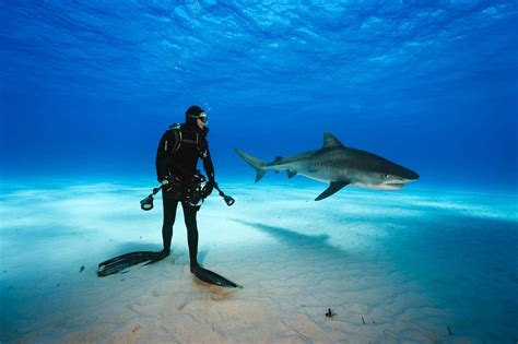 Tiger Shark: National Geographic Expedition - Epic Diving