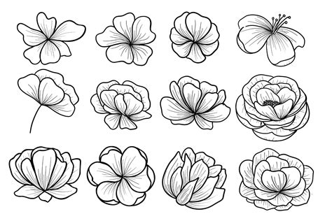 Flower Line Art Handrawn Clipart Graphic by goodigital · Creative Fabrica