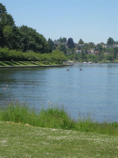 Green Lake Park | Year of Seattle Parks