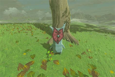 Гайд по Zelda Breath of the Wild: как найти и собрать семена корока ...