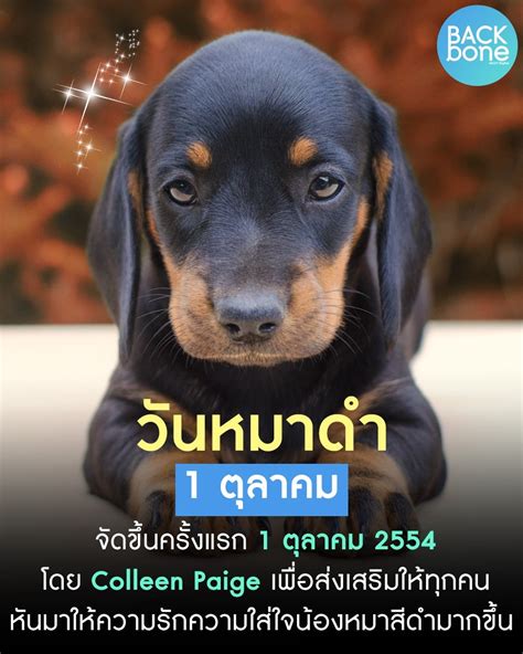 วันหมาดำ หรือ National Black Dog day