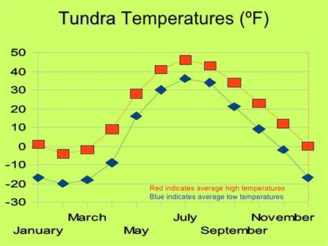 Tundra