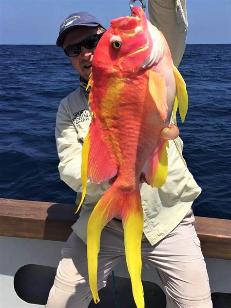 10 Most Unique Deep-Sea Fishing Catches - Florida Sportsman