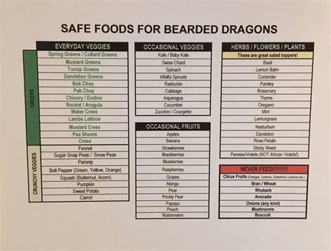 Bearded dragon food chart