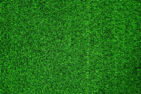 Green grass texture background grass garden concept used for making green background football ...