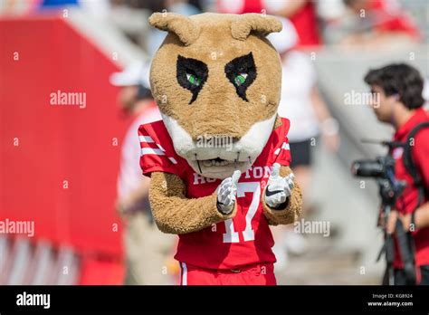 Houston, TX, USA. 4th Nov, 2017. Houston Cougars mascot Shasta claps ...