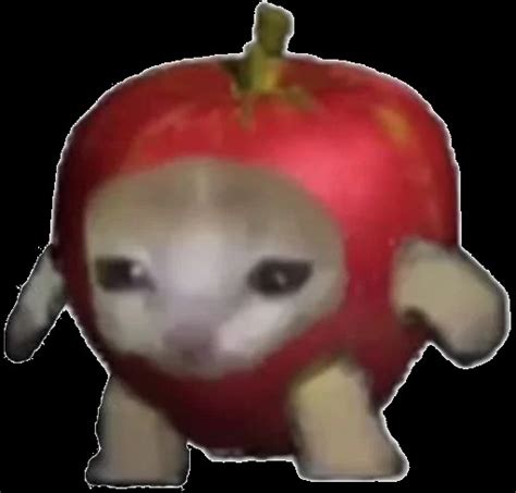 Create meme "cat apple meme, death file, a cat in a berry costume" - Pictures - Meme-arsenal.com