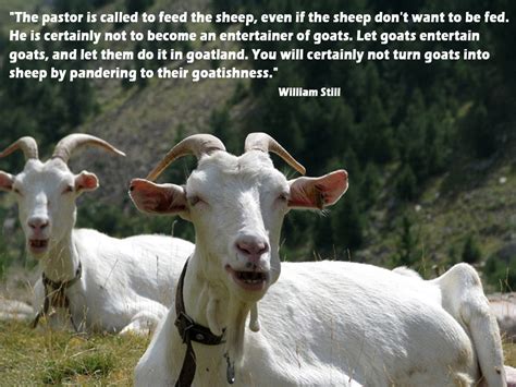 Goat Love Quotes. QuotesGram