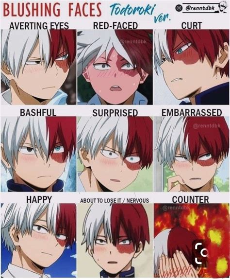 Cute Face Shoto Todoroki Smile - Fotomuslik