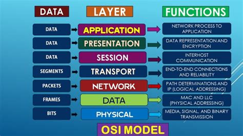 Layer 2 Osi Model Related Keywords & Suggestions - Layer 2 O - DaftSex HD