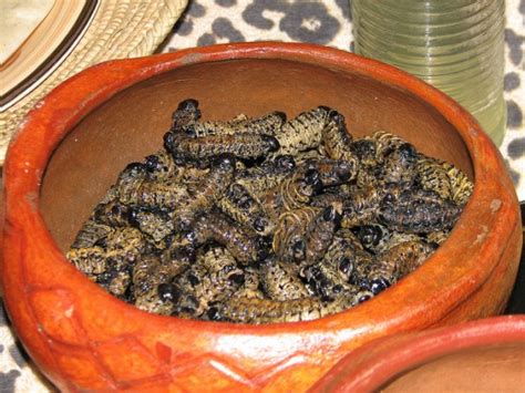 Mopane Worm Salad Recipe – Roots To Glory