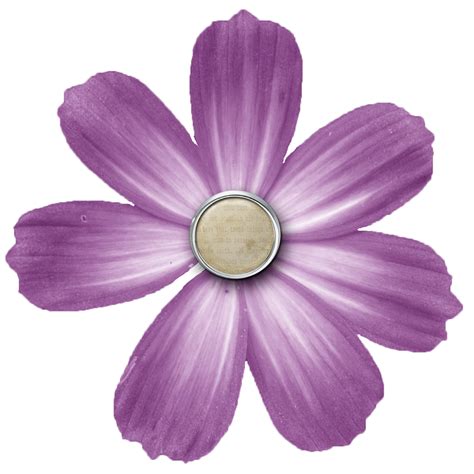 Violet Flower PNG Transparent Images