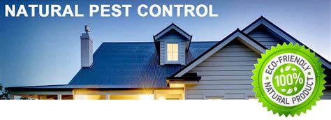 Natural Pest Control | East Coast Building & Pest