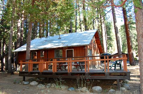 Redwoods in Yosemite - (1B) Heart of the Meadow, Cabins, Wawona, United States of America ...