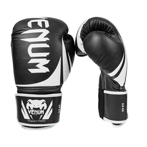 Top 5 Best 20 oz Boxing Gloves | Boxing For The Deal