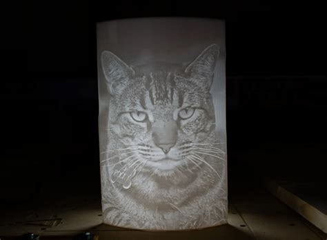 Hand Crafted Lithopane - Portrait - 3d Printed Picture - " Grumpy Cat ...