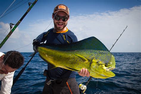 Species Spotlight: Mahi Mahi (Dorado) | Sportquest Holidays