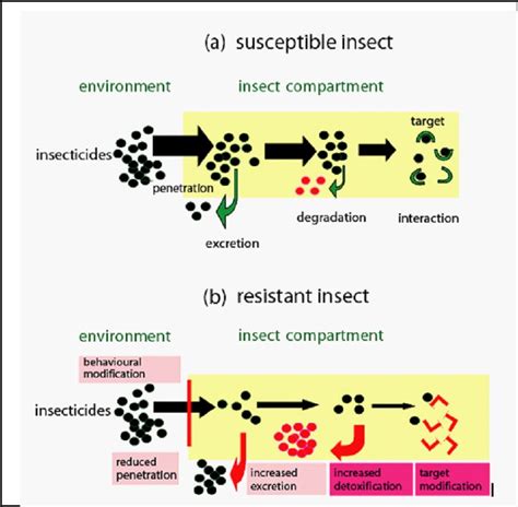 Änderungen von Ritual Prozentsatz ddt mechanism Luxus Ermutigung Keiner