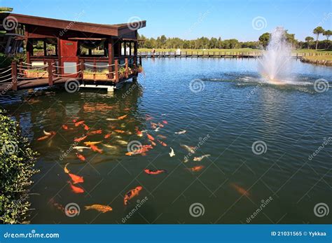 Artificial Pond Royalty Free Stock Photo - Image: 21031565