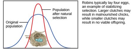 Adaptive Evolution | Biology for Non-Majors II