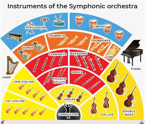 Instruments of the Symphonic orchestra Poster, PDF - eScuola